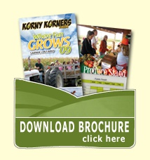 Download our brochure